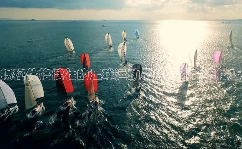 中欧体育全站app在线登录京东揭秘体格健壮的足球运动员的身体训练技巧