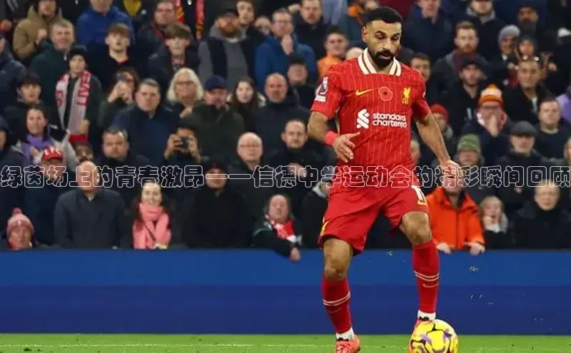 中欧体育网页百度众测绿茵场上的青春激昂——信德中学运动会的精彩瞬间回顾