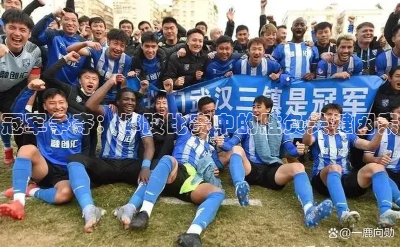 中欧体育网页版入口百度健康冠军争夺：摔跤比赛中的胜负关键因素