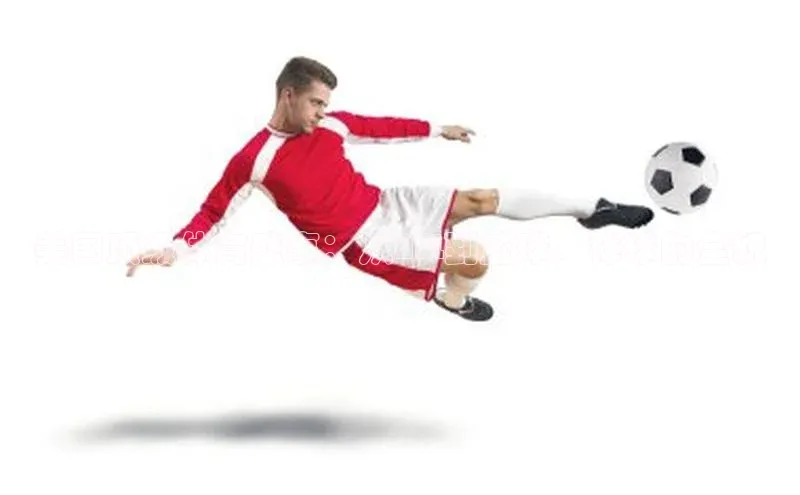 zoty中欧体育全站阿里尔公司美国顶级体育盛事：从NFL到篮球、棒球的全貌