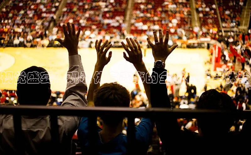 中欧app体育天下秀视觉盛宴：观看体育赛事的全新视角与体验