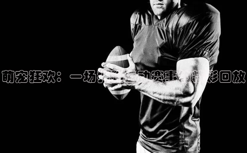 萌宠狂欢：一场狗狗运动赛事的精彩回放