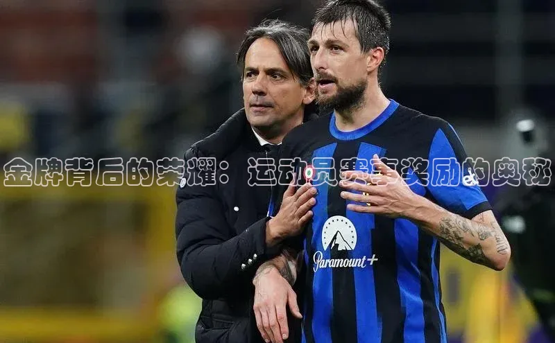 金牌背后的荣耀：运动员赛事奖励的奥秘