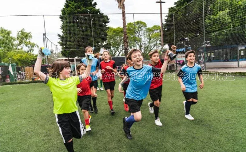 飞跃·激情——郑州2024年度运动赛事精彩回顾与展望
