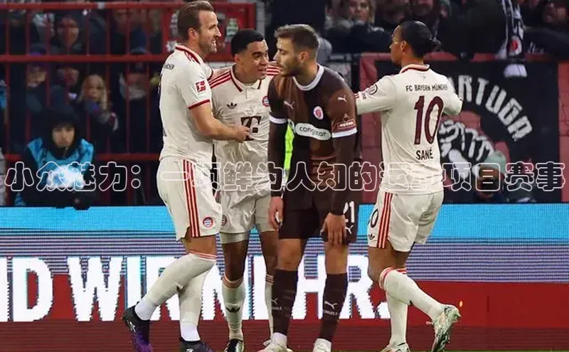 小众魅力：一项鲜为人知的运动项目赛事