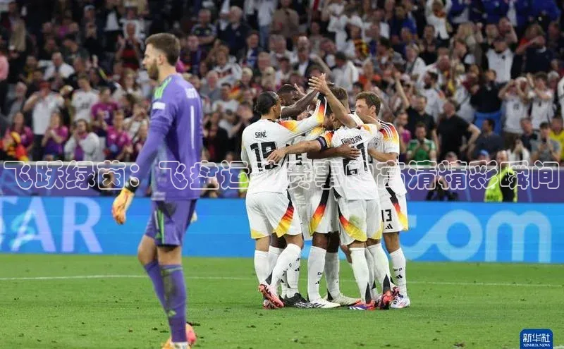 飞跃绿茵：飞盘运动赛事的高清精彩瞬间