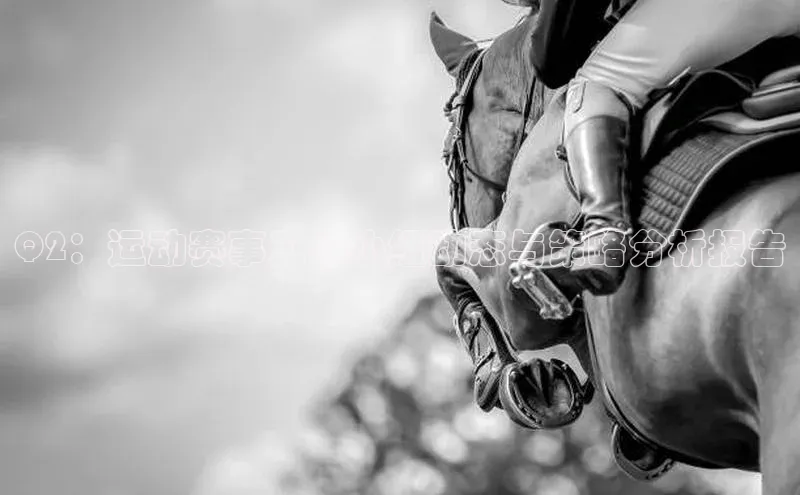 Q2：运动赛事工作小组动态与策略分析报告