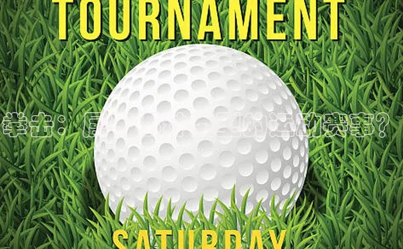 拳击：属于哪种类型的运动赛事？