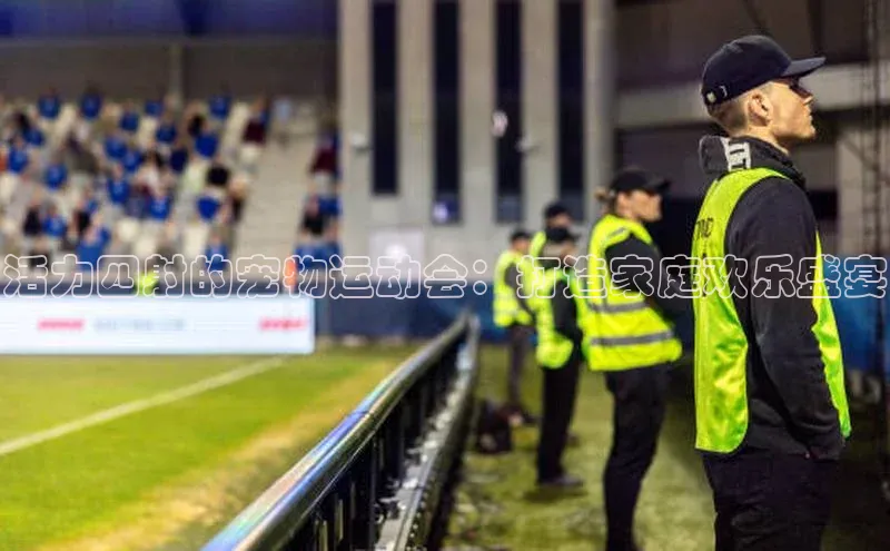 活力四射的宠物运动会：打造家庭欢乐盛宴