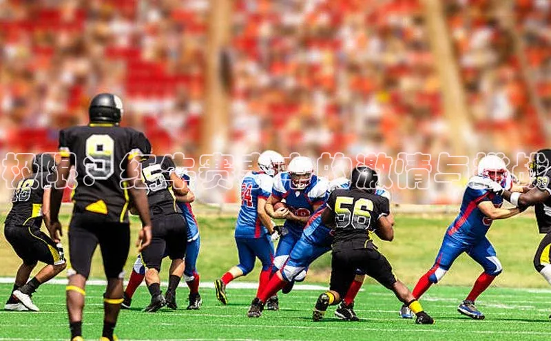 zoty28中欧体育网址