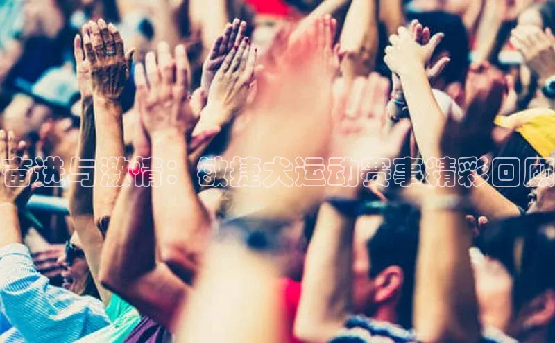 zoty28中欧体育网址