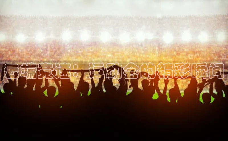 中欧体育最新地址