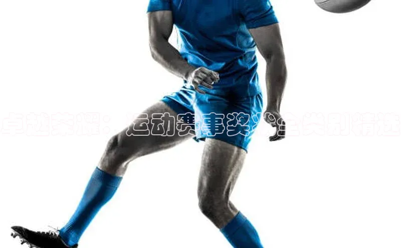 中欧体育官方平台入口网址