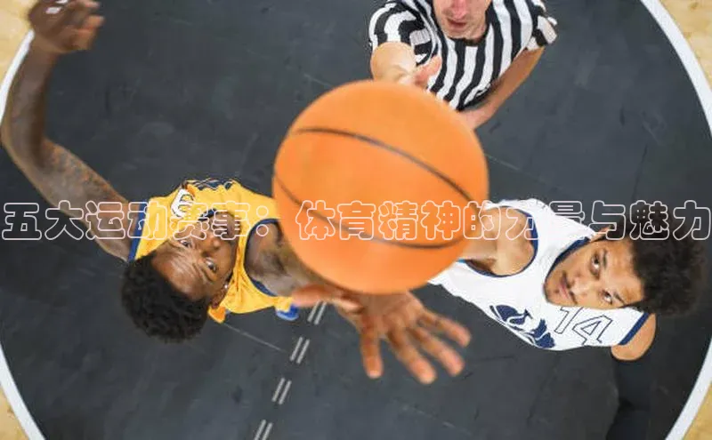 zyty中欧体育平台