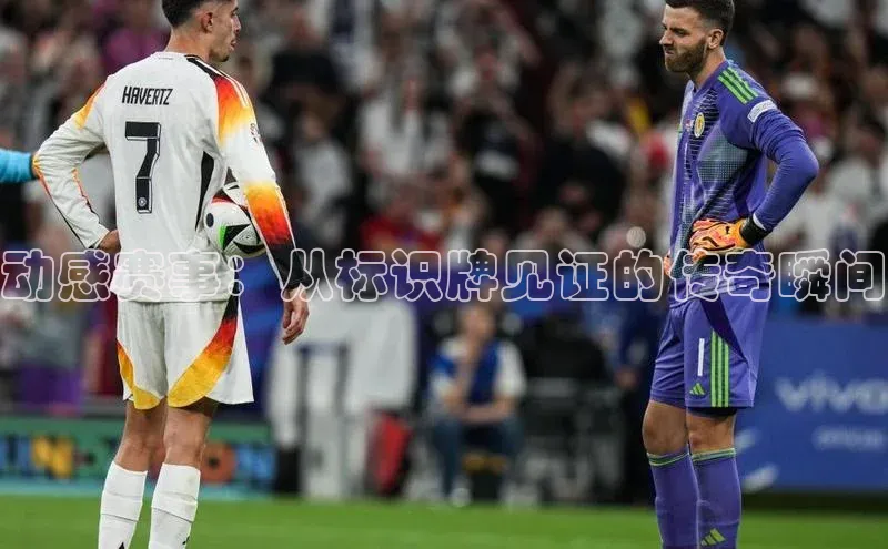 中欧体育全站app在线登录