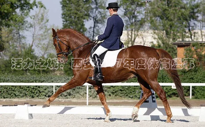 活力之城：西安2017年度体育盛事