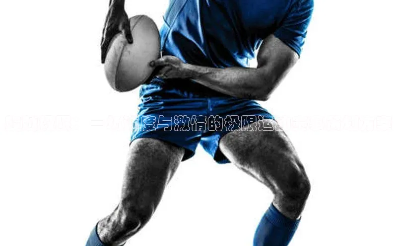 超越极限：一场速度与激情的极限运动赛事策划方案